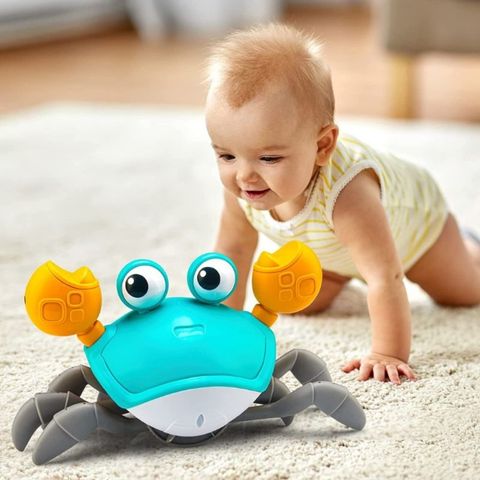 Crabe Danseur