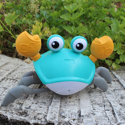 Crabe Danseur